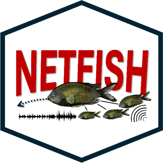 netfish